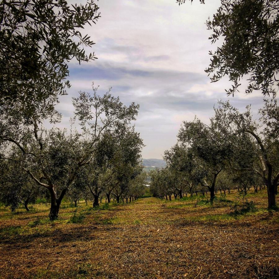 Villa Alessi - Dimora Storica Racalmuto Εξωτερικό φωτογραφία